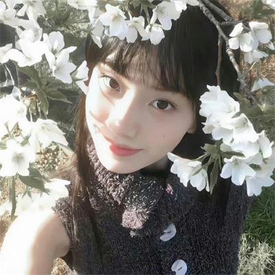 野探哈莉第四季